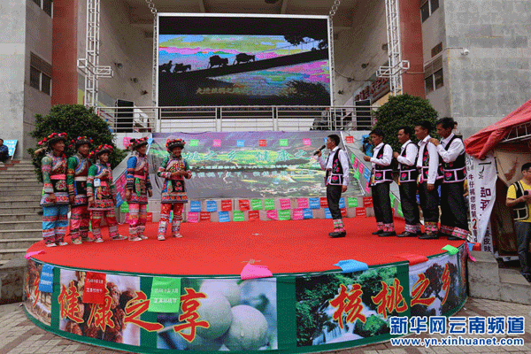 2014 Dali Yangbi Walnuts Promotion Event held in Kunming