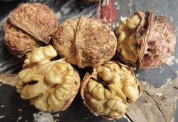 Lincang walnut