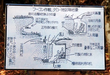 Picture of Japanese fortifications.