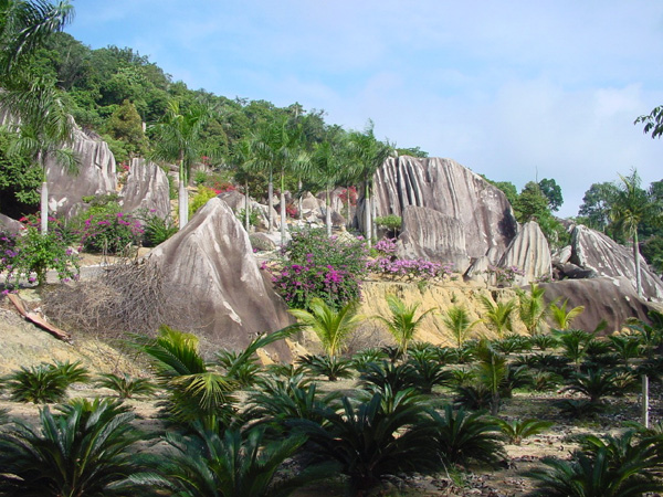 Minor stone Forest